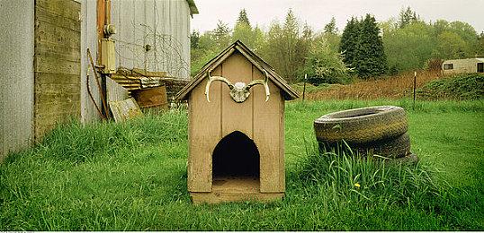 沉浸式模拟游戏《校园生活》现已登录Steam平台 6月推出试玩版